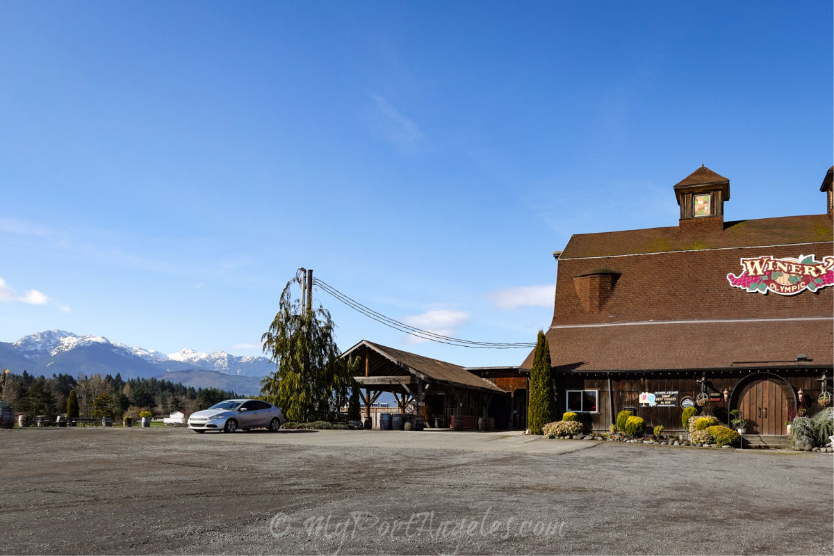 Olympic Cellars Winery Popular with locals and visitors alike.